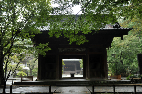 106 MINI5 DSC_3303.jpg